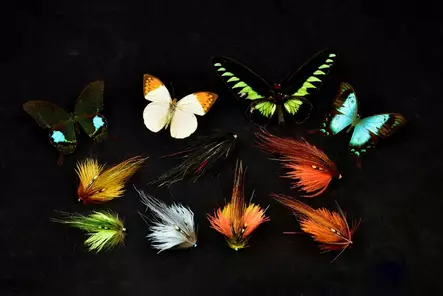 Frödin Flies Butterfly Fiery Brown - Rørfluer - 7340154606110 - 2