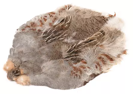 Wapsi #1 Hungarian Partridge Skin - Skind, vinger og hoved - 762820008690 - 1