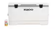Igloo Marine Ultra 95l Cooler White - Kølekasser og -tasker - 0034223495480 - 4