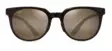Maui Jim Wailua - Transluecent Rootbeer Frame with HCL Bronze Lens - Plastlinser - 603429069070 - 2