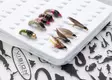 Vision Fish Slim Boxes - Flueæsker - 6417512818780 - 3