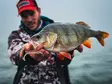 VMC Dart Jig Matt Craw - Jighoveder - 3422993062600 - 3