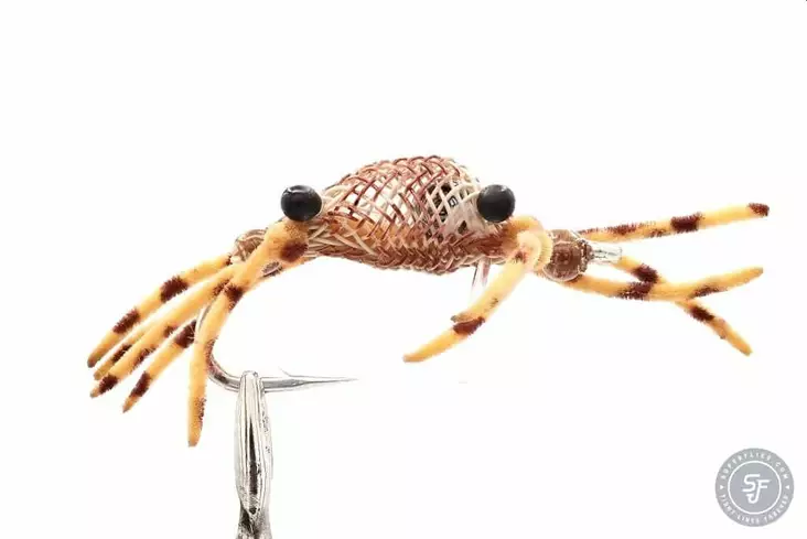 Alphlexo Crab Tan Stripe - Kræftrækjer - 8859202531070 - 1