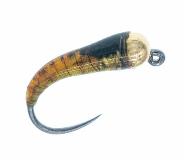 Glue Larva with Gold Bead - Vådfluer - 8859202210 - 1