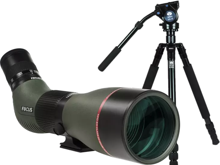 Kit Focus Optimum ED 20-60x85 with Sirui R2004+VH10 - Tubekikkerter - 130600 - 1