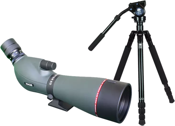 Kit Focus Viewmaster ED 20-60x80, with Sirui R2004+VH10 - Tubekikkerter - 7391879050900 - 1