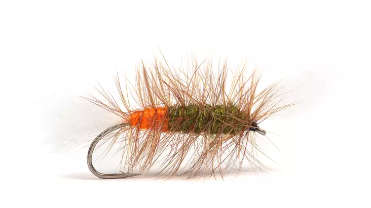 Pompero Olive / Fl. Orange Hot Spot - Øvrige laksefluer - 8859202536440 - 2
