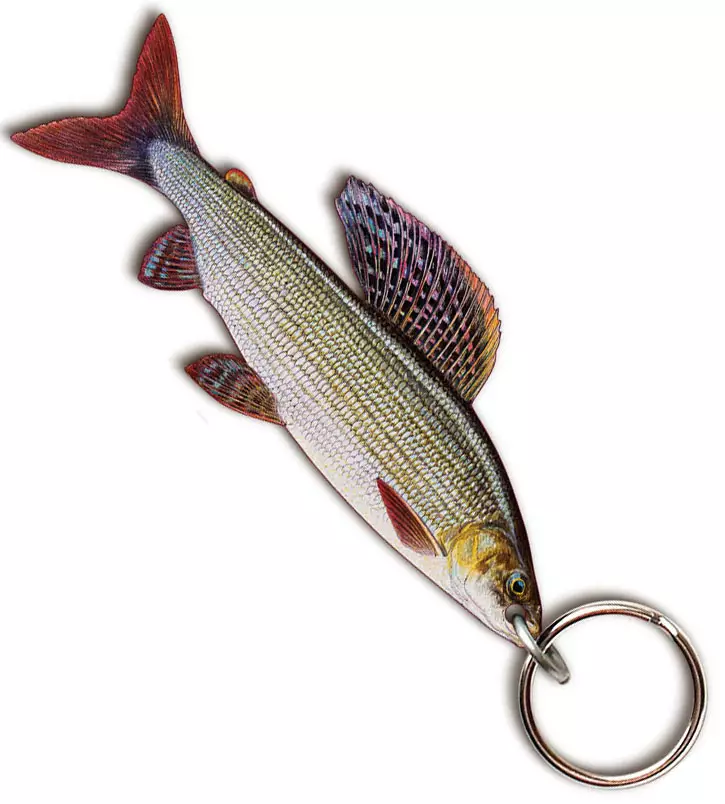 Sakke Yrjölä fish key ring - Tryksager - 202501294560 - 1