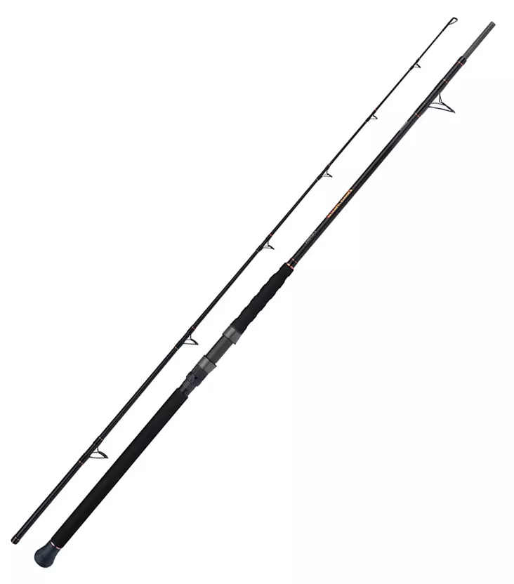 Shimano Beastmaster AX Catfish Multi 230cm 200g Spinning 2pc - Saltvands-spinnestænger - 8717009868310 - 1
