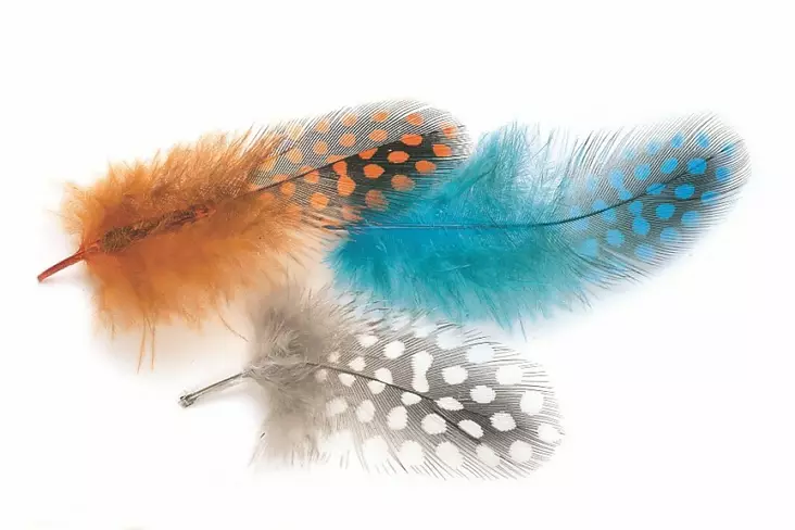 Veniard Guinea Body Feathers - Øvrige fjer - 40400400040 - 1