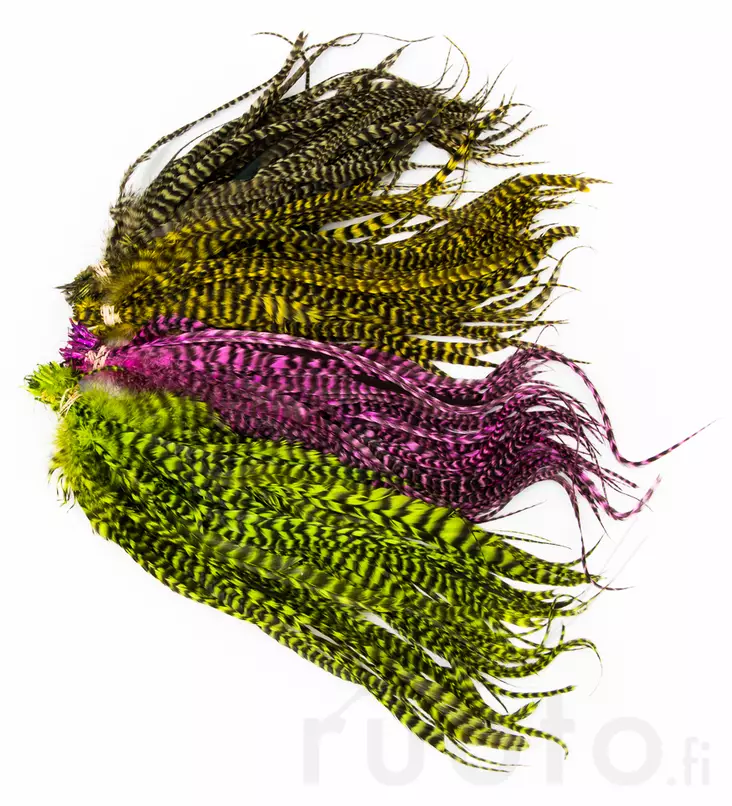 Whiting Schlappen Bundle 6-10in - Øvrige fjer - 4045030000010 - 1