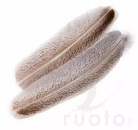 Oak Mottled Turkey Wing Quills - Klassiske fjer - 5056304606122 - 1