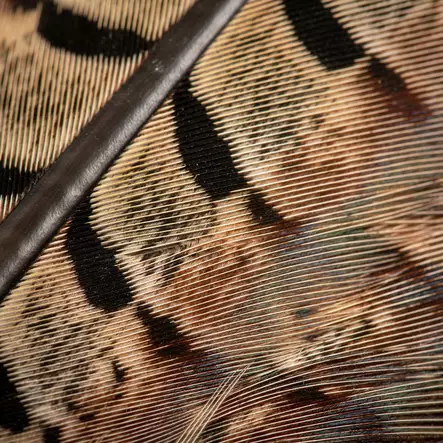 Wapsi Ringneck Tail Clump Natural - Haler - 053526050011 - 2