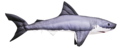 Gaby Great White shark 120cm - Blød fisk - 5905279175761 - 1