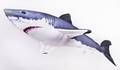 Gaby Great White shark 120cm - Blød fisk - 5905279175761 - 2
