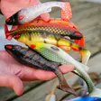 Daiwa Prorex Lazy Shad 20 - Gummiagn til gedde - 251020221 - 20
