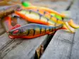 Daiwa Prorex Lazy Shad 20 - Gummiagn til gedde - 251020221 - 21