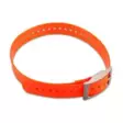 Garmin 1inch Collar Strap Orange - Garmin-hundesporer - 753759992521 - 1