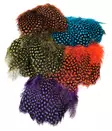 Strung Guinea Feathers - Øvrige fjer - 40400400041 - 1