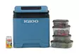 Igloo IE27 Thermoelectric Cooler 12V/230V 27 l Blue - Kølekasser og -tasker - 7315091520171 - 7