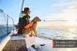 Non-stop Dogwear Protector Life Jacket - Hundjakker og -veste - 7071652173421 - 9