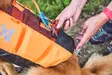 Non-stop Dogwear Protector Life Jacket - Hundjakker og -veste - 7071652173421 - 8