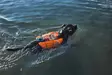 Non-stop Dogwear Protector Life Jacket - Hundjakker og -veste - 7071652173421 - 4
