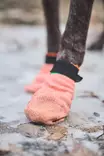 Non-stop Dogwear Protector Light Socks - Hundjakker og -veste - 7071652132121 - 6