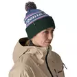 Patagonia Powder Town Beanie Park Stripe: Barnacle Blue - Huer - 198077131601 - 2