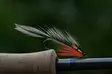 Pro Sportfisher Pro Jungle Cock Bulk - Junglehaner - 671227926901 - 3