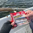 Rapala 90 Years Floater Big Naturalistic - Agnsortimenter - 022677373461 - 6