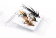 Salmon Flies Selection - Finland Special - Fluesortiment - 8859202531391 - 1