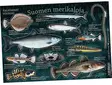 Suomen merikaloja - Kalatarrat - Tryksager - 6430048500691 - 1