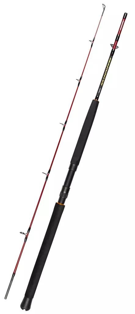 Daiwa Seahunter Spin - Havstænger til dybhavsfiskeri - 5055545246401 - 1
