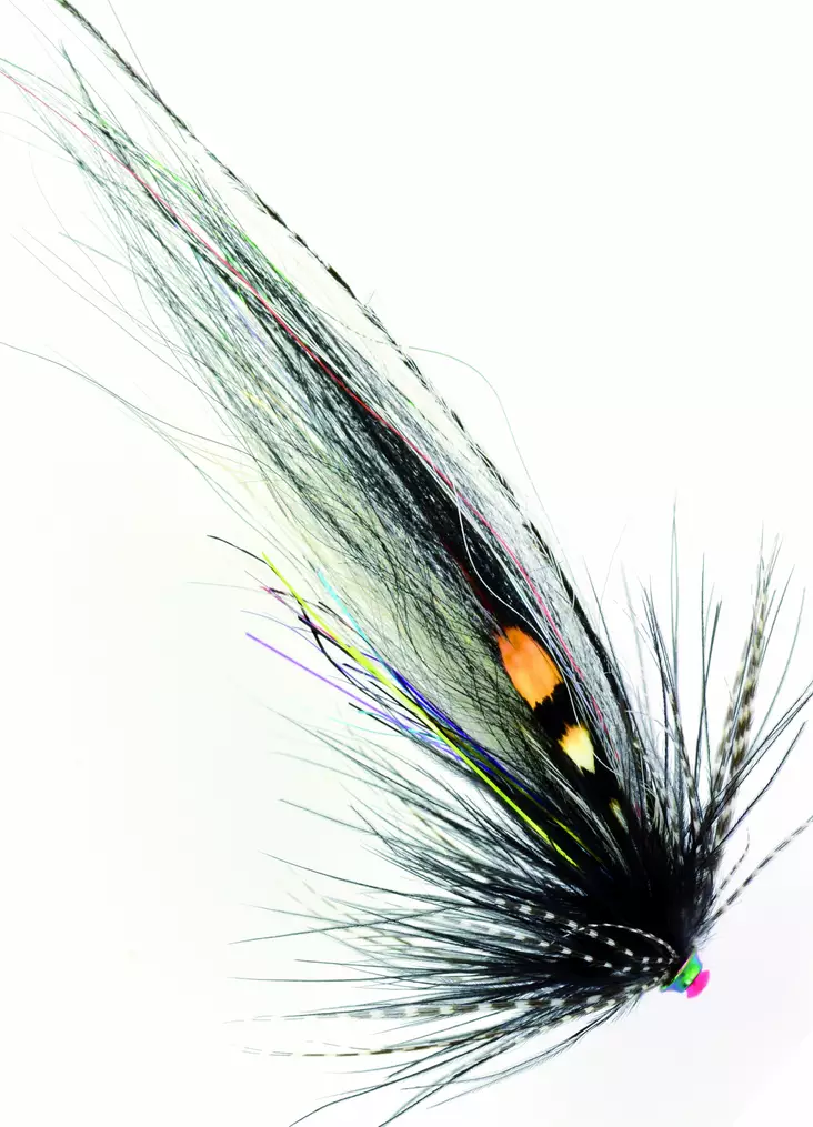 Frödin Flies TTT NoBody Series Zebra - Rørfluer - 7340154606851 - 1