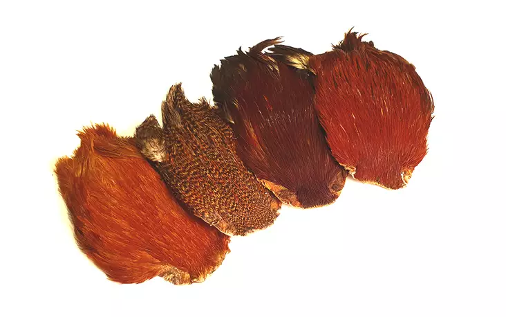 FTS Indian Cock Cape - Øvrige hanenakker og -sadler - 6417512011 - 1