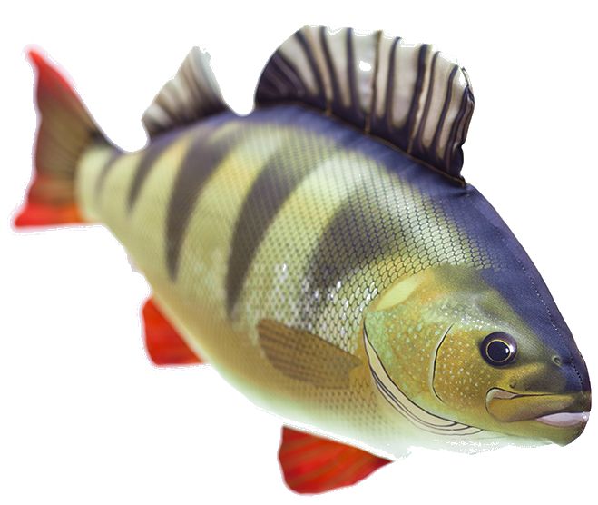 Gaby Ahven Pehmokala - Blød fisk - 5905279175051 - 1