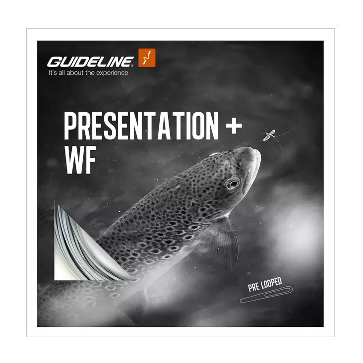 Guideline Presentation+ Float WF2 - Flydeliner - 7033841071871 - 1