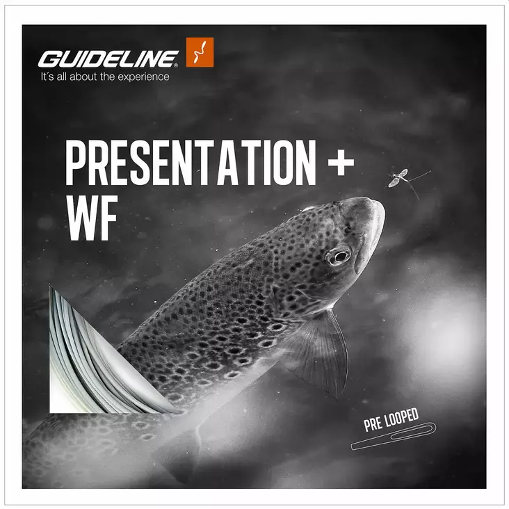Guideline Presentation+ WF Float - Flueliner - 7033841071871 - 1