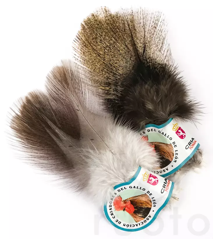 Hareline Coq De Leon - Øvrige fjer - 40450200501 - 1