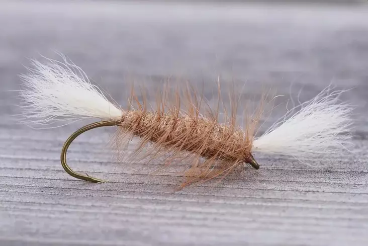 Pompero Light Brown - Øvrige laksefluer - 8859202531551 - 1