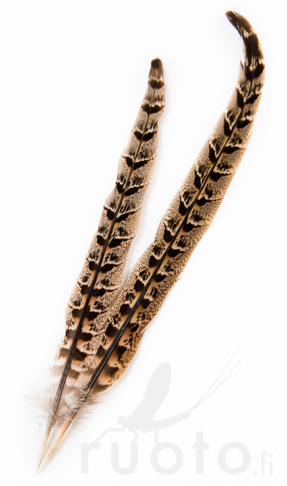 Hen Pheasant Centre Tails - Haler - 5056304604616 - 1