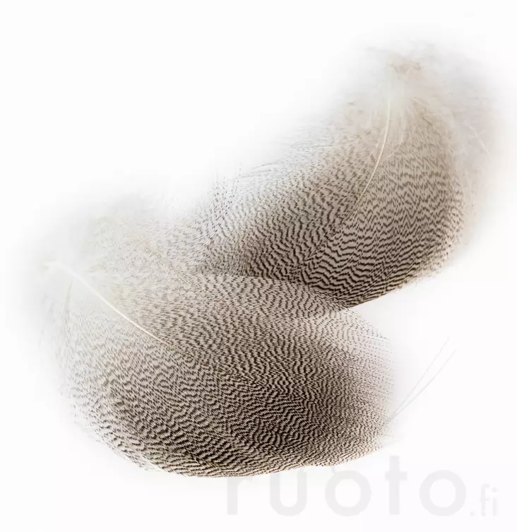 Veniard Mallard Drake Grey Flank - Klassiske fjer - 5056304602261 - 1