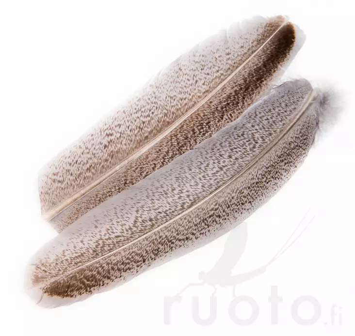 Oak Mottled Turkey Wing Quills - Klassiske fjer - 5056304606122 - 1