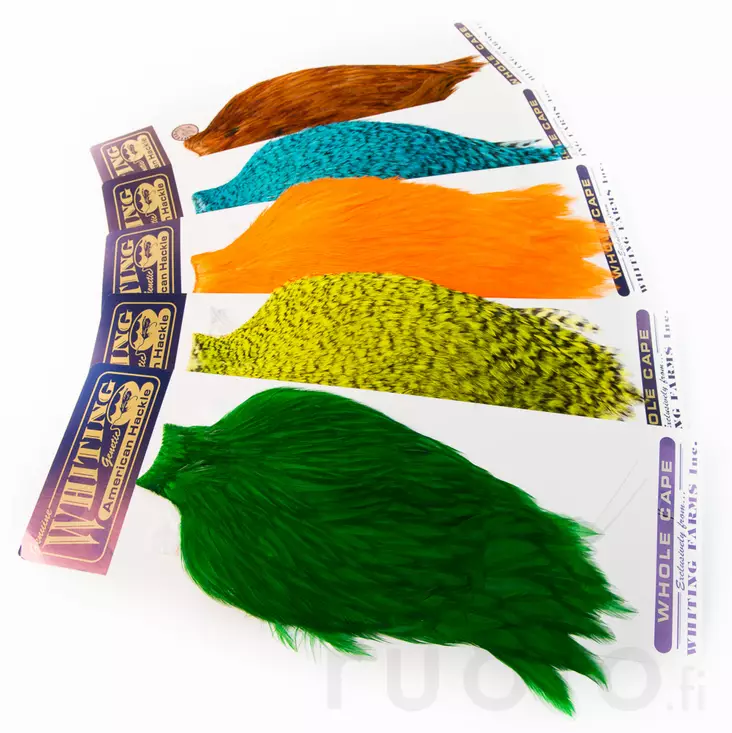 Whiting American Rooster Cape - Øvrige hanenakker og -sadler - 40350200001 - 1