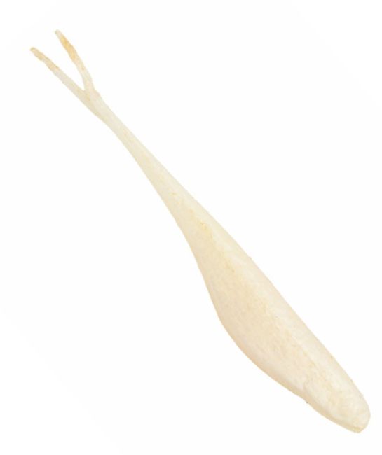 Z-Man Jerkshadz 3,5" - Dropshot-jigs - 173401 - 1