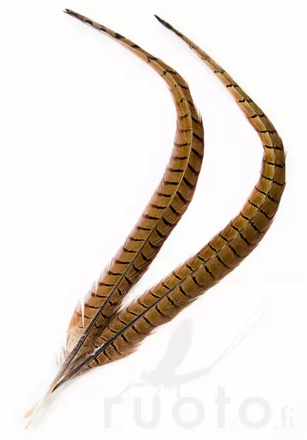 Veniard Cock Pheasant Centre Tails - Haler - 404503000022 - 1