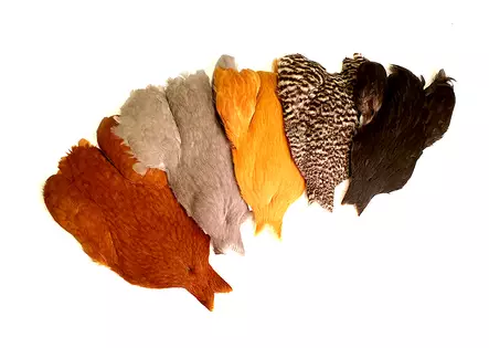 Whiting 4B's Hen Cape - Øvrige hanenakker og -sadler - 748012 - 1