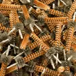 BoreTech AR-15 Chamber Brush Bronze - Øvrige våbenvedligeholdsprodukter - 667739980692 - 6