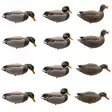 Final Approach Live Full Body Mallards 12pcs - Lokkende billeder / -diagram - 071617045602 - 1